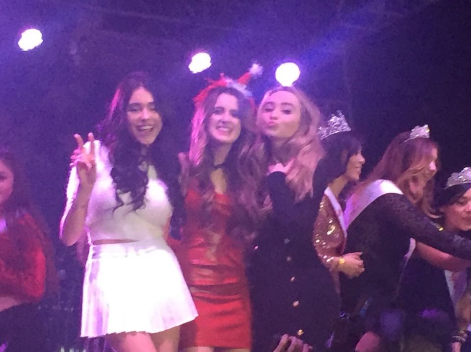 15tree-light_009.jpg 15tree-light_009.jpg