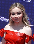 17rdma-carpet_009.jpg