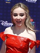 17rdma-carpet_010.jpg