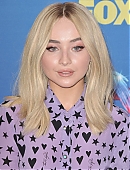 18tca-carpet_002.jpg