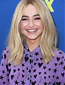 18tca-carpet_004.jpg