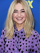 18tca-carpet_014.jpg