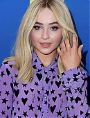 18tca-carpet_015.jpg