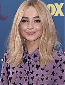 18tca-carpet_017.jpg