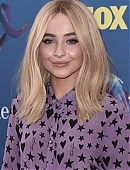 18tca-carpet_018.jpg