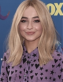 18tca-carpet_021.jpg