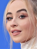 18vmas-carpet_001.jpg