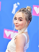 18vmas-carpet_009.jpg