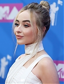 18vmas-carpet_013.jpg