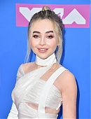 18vmas-carpet_018.jpg