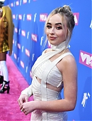 18vmas-carpet_019.jpg