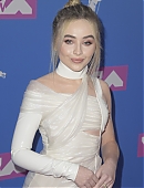 18vmas-carpet_020.jpg