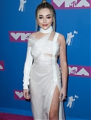 18vmas-carpet_028.jpg