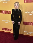 emerg-pre-carpet_041.jpg