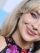 22vmas-carpet_003.jpg