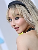 22vmas-carpet_015.jpg