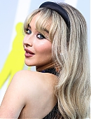 22vmas-carpet_018.jpg