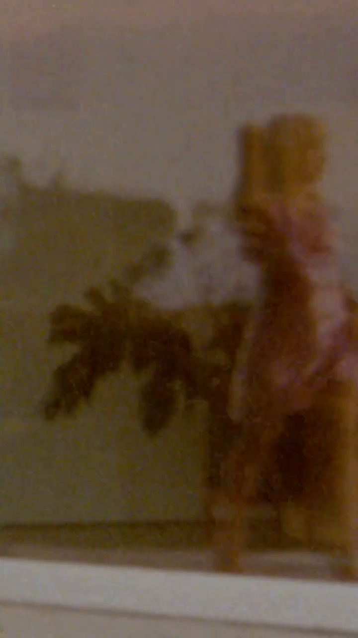 versace-lavacaza-promo-vid_005.jpg versace-lavacaza-promo-vid_005.jpg