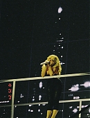 snstour-tampa_030.jpg