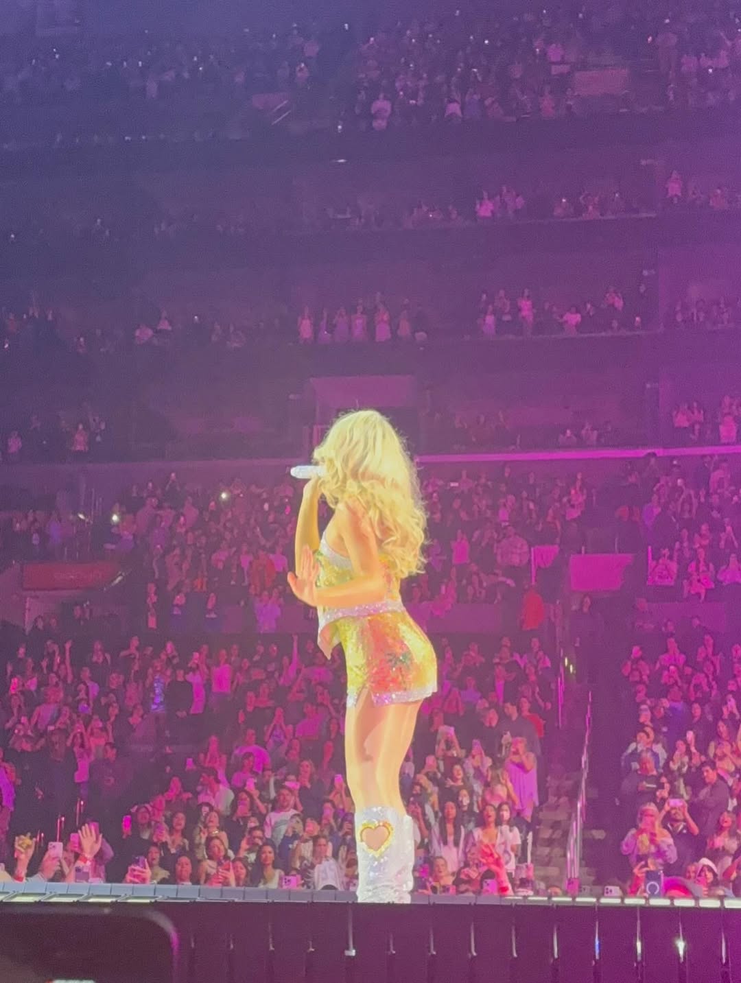 snstour25-la2_052.jpg snstour25-la2_052.jpg