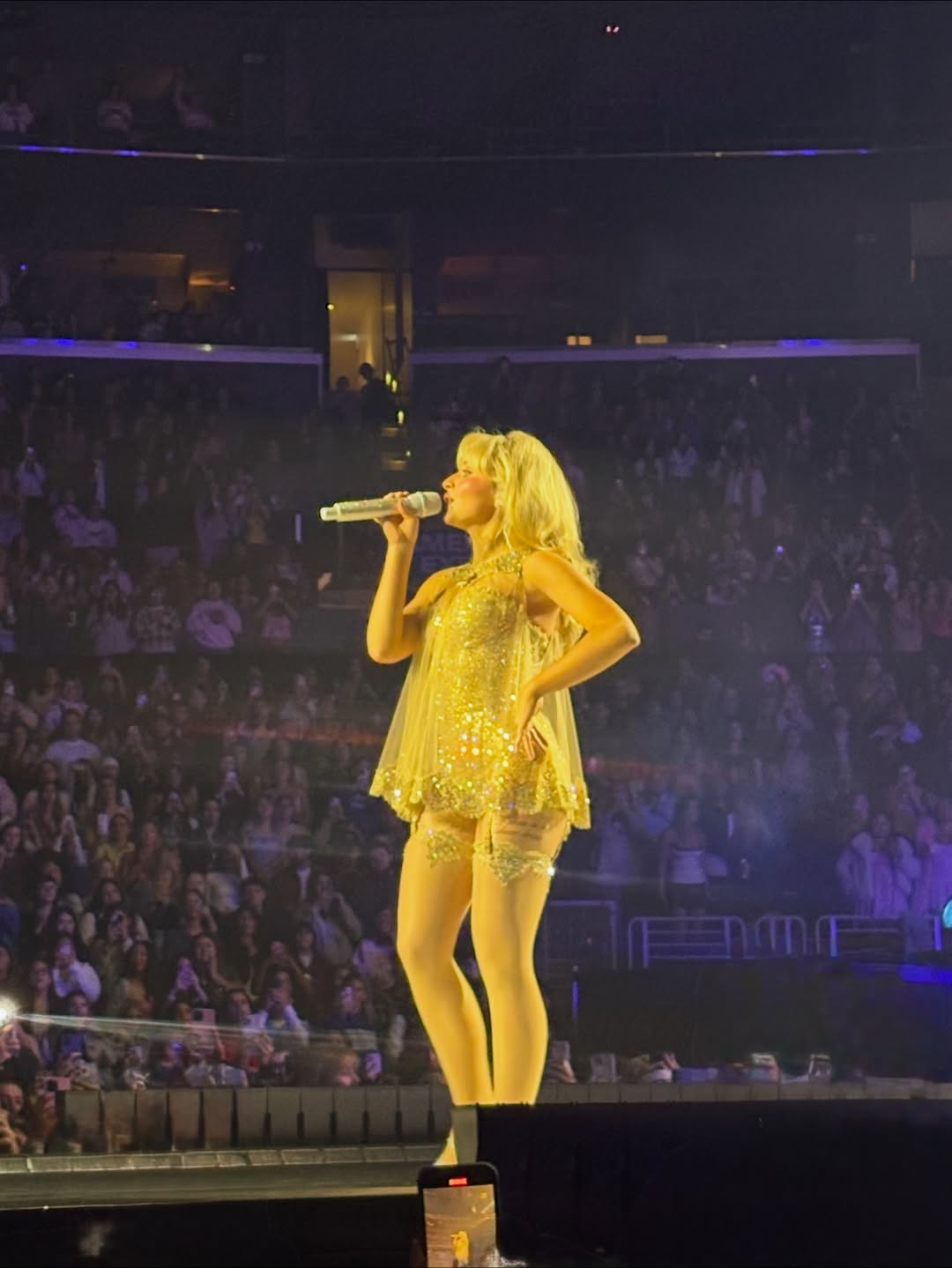 snstour25-la4_009.jpg snstour25-la4_009.jpg