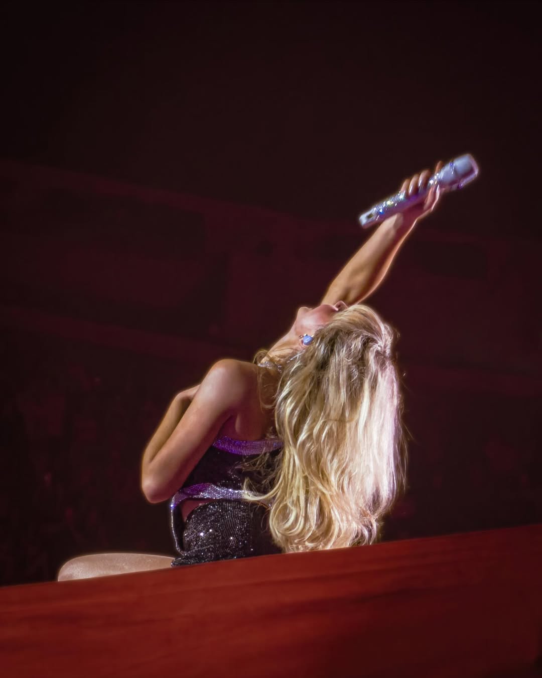 snstour25-la4_040.jpg snstour25-la4_040.jpg