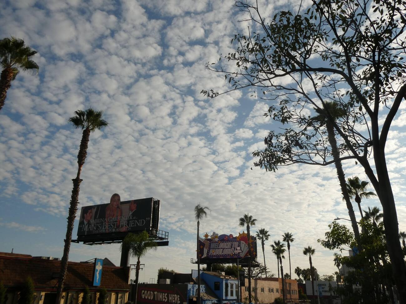 mbf-billboard_018.jpg