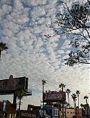 mbf-billboard_018.jpg
