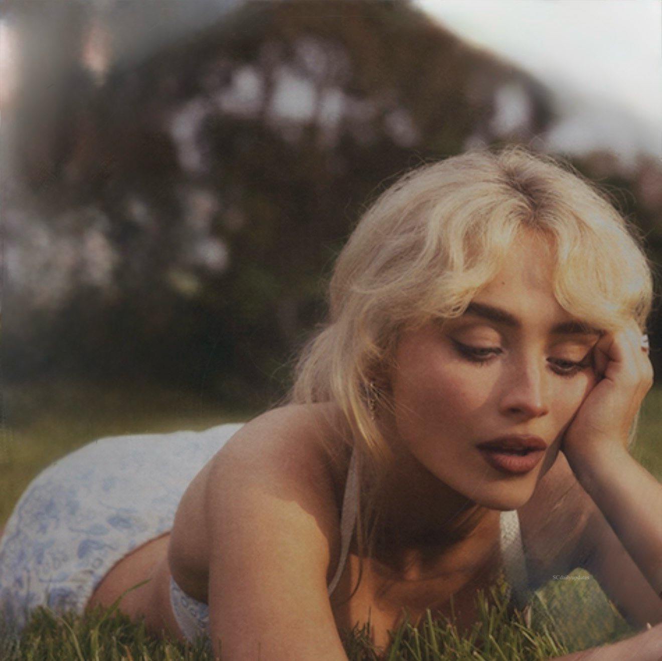 mbf-album-ps_014.jpg mbf-album-ps_014.jpg