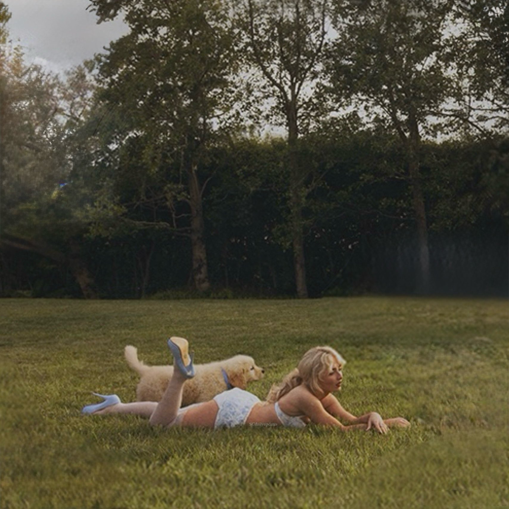 mbf-album-ps_015.jpg mbf-album-ps_015.jpg