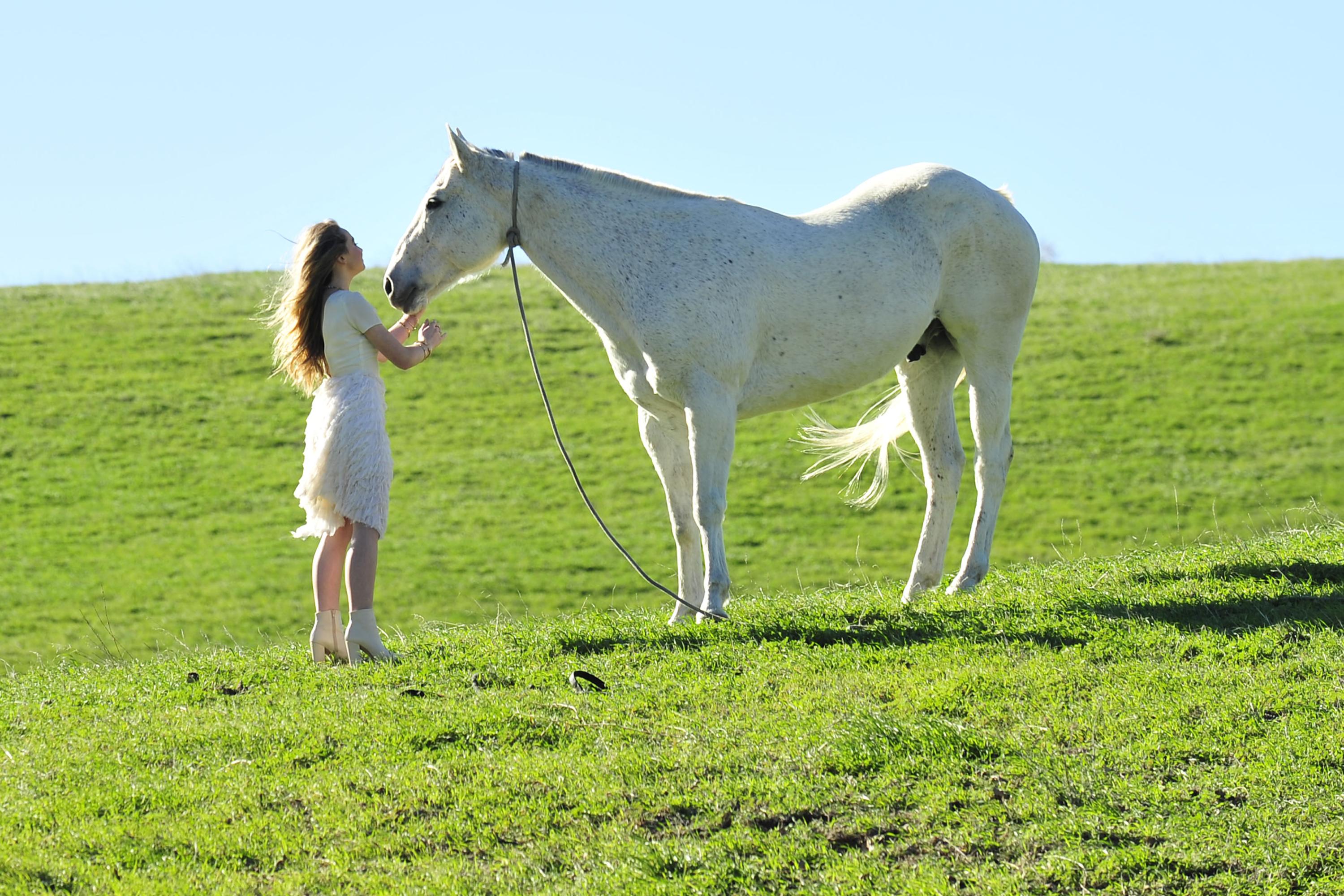 wbts-mv-promo_001.jpg wbts-mv-promo_001.jpg