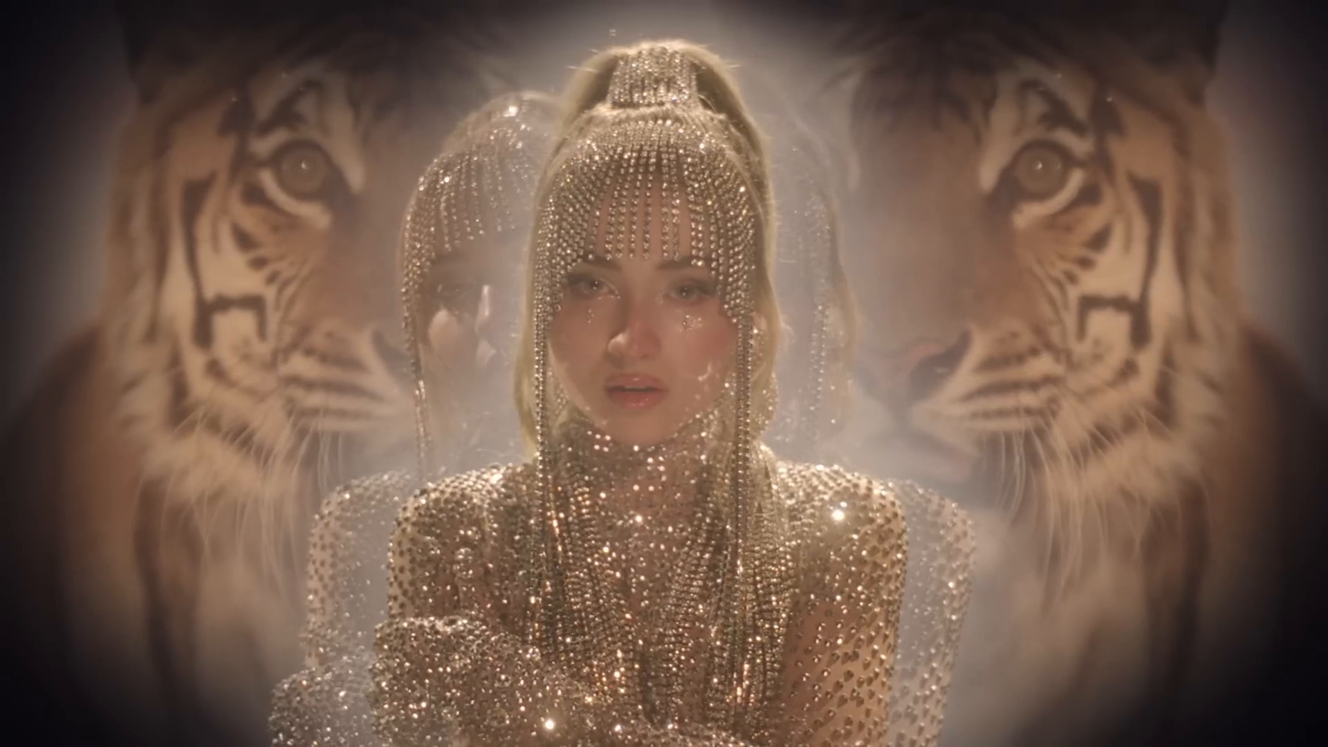 bilab-mvid_026.jpg bilab-mvid_026.jpg