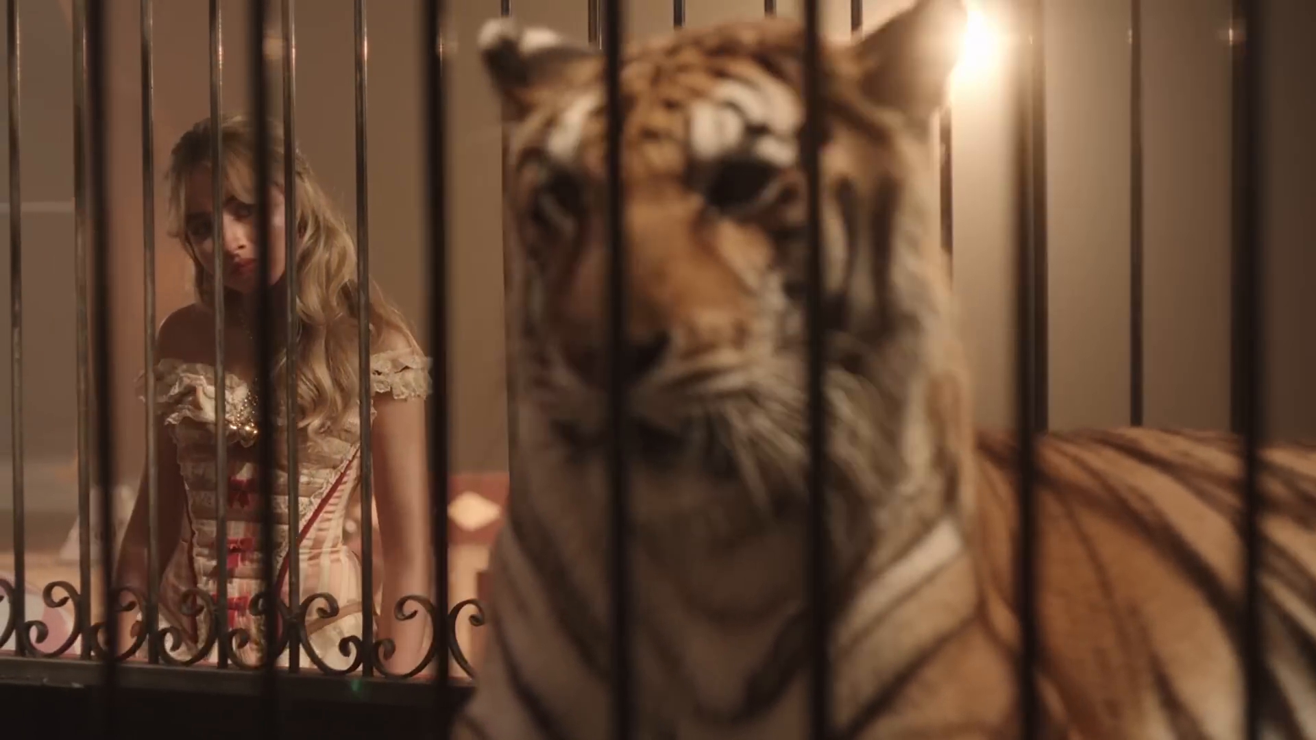 bilab-mvid_029.jpg bilab-mvid_029.jpg