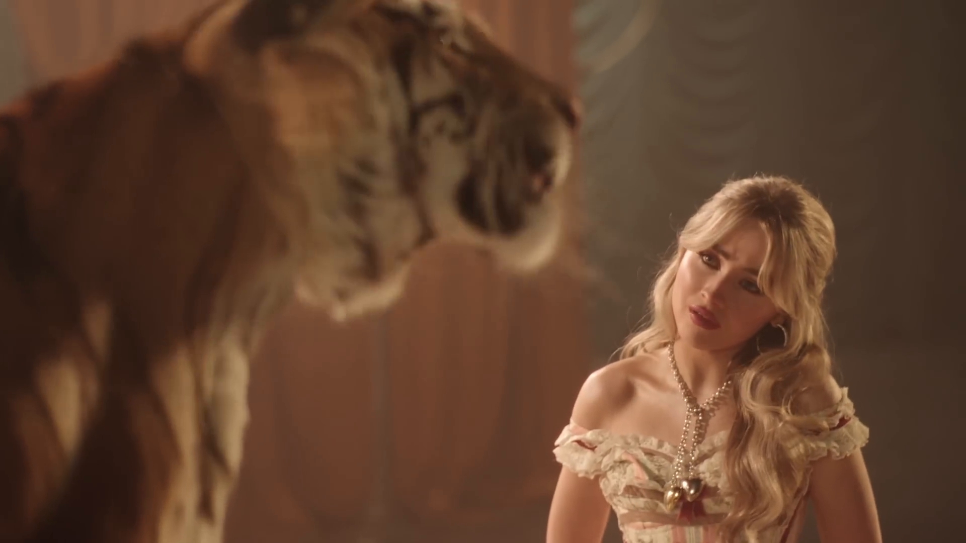 bilab-mvid_037.jpg bilab-mvid_037.jpg