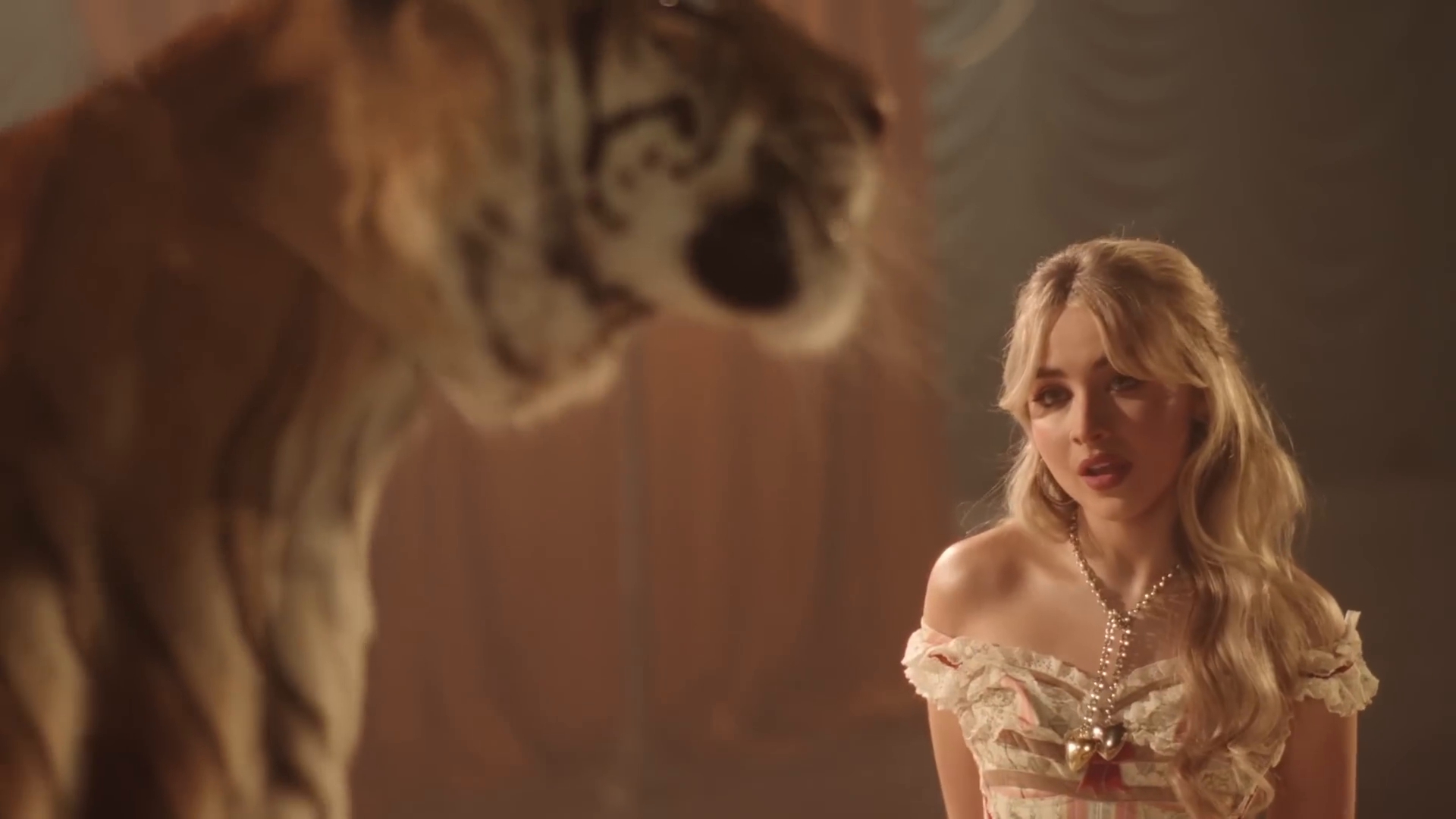 bilab-mvid_038.jpg bilab-mvid_038.jpg