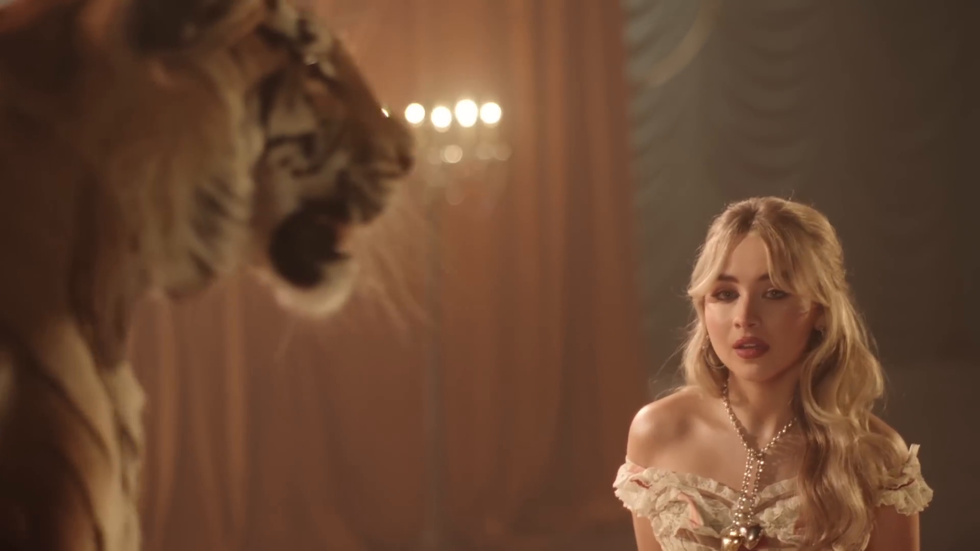 bilab-mvid_039.jpg bilab-mvid_039.jpg