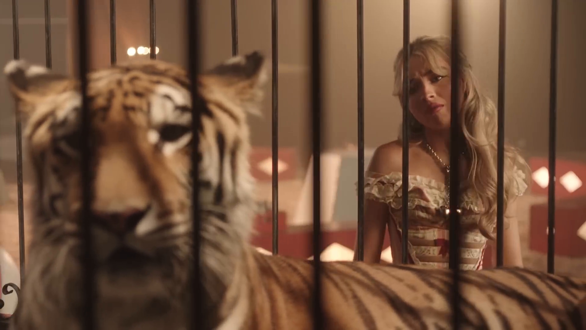 bilab-mvid_041.jpg bilab-mvid_041.jpg