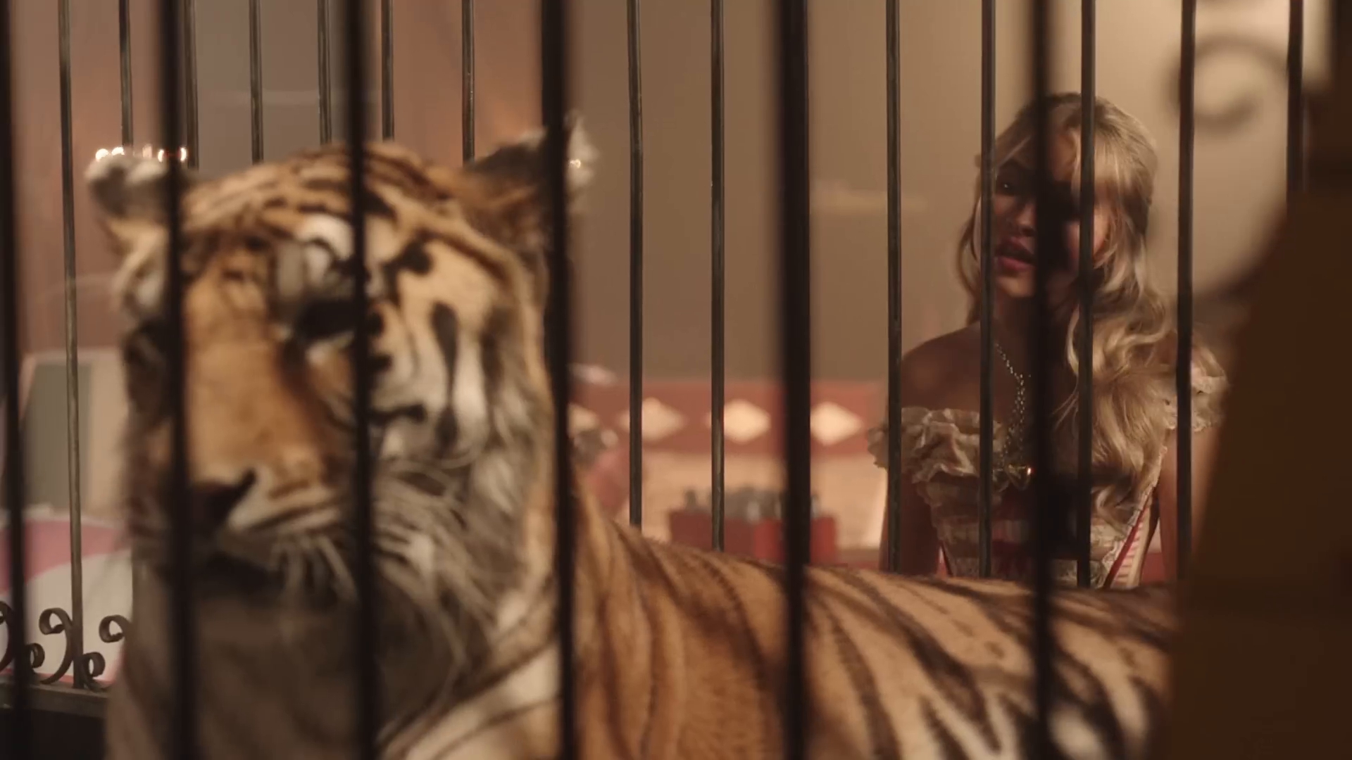 bilab-mvid_043.jpg bilab-mvid_043.jpg