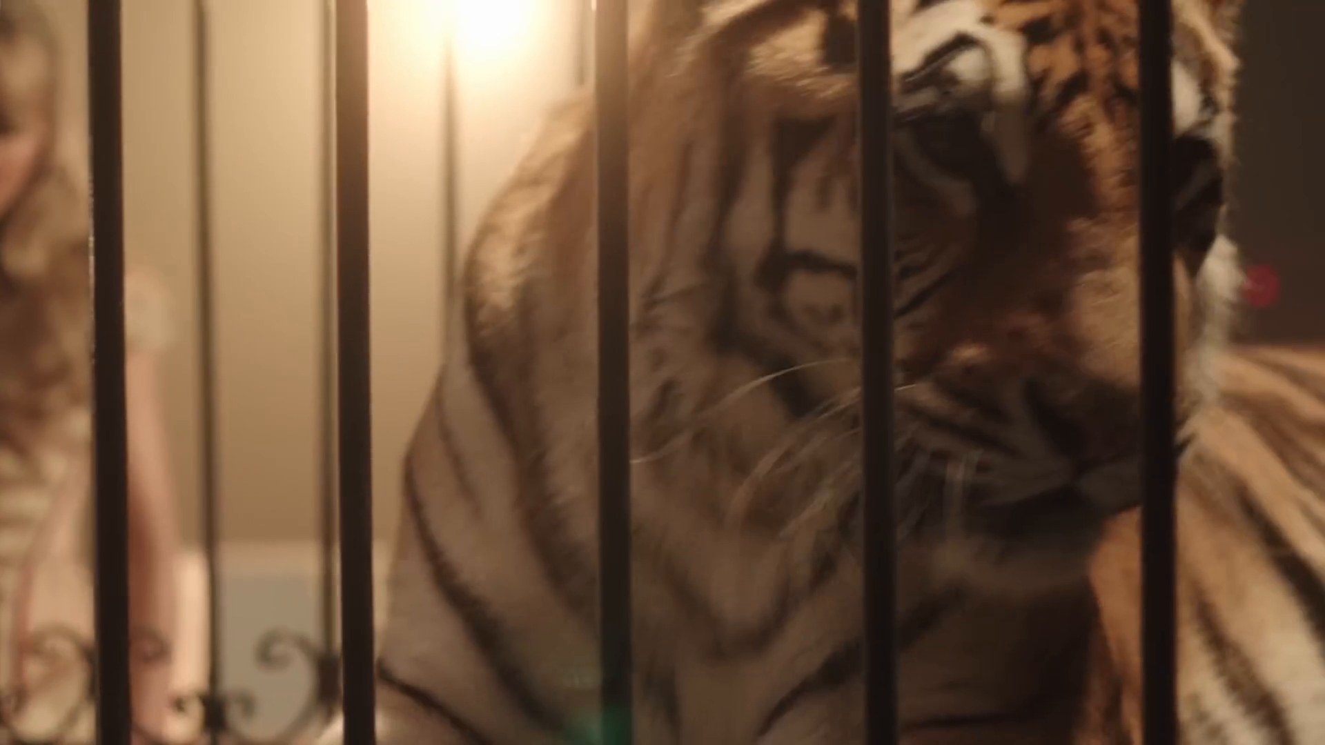 bilab-mvid_045.jpg bilab-mvid_045.jpg