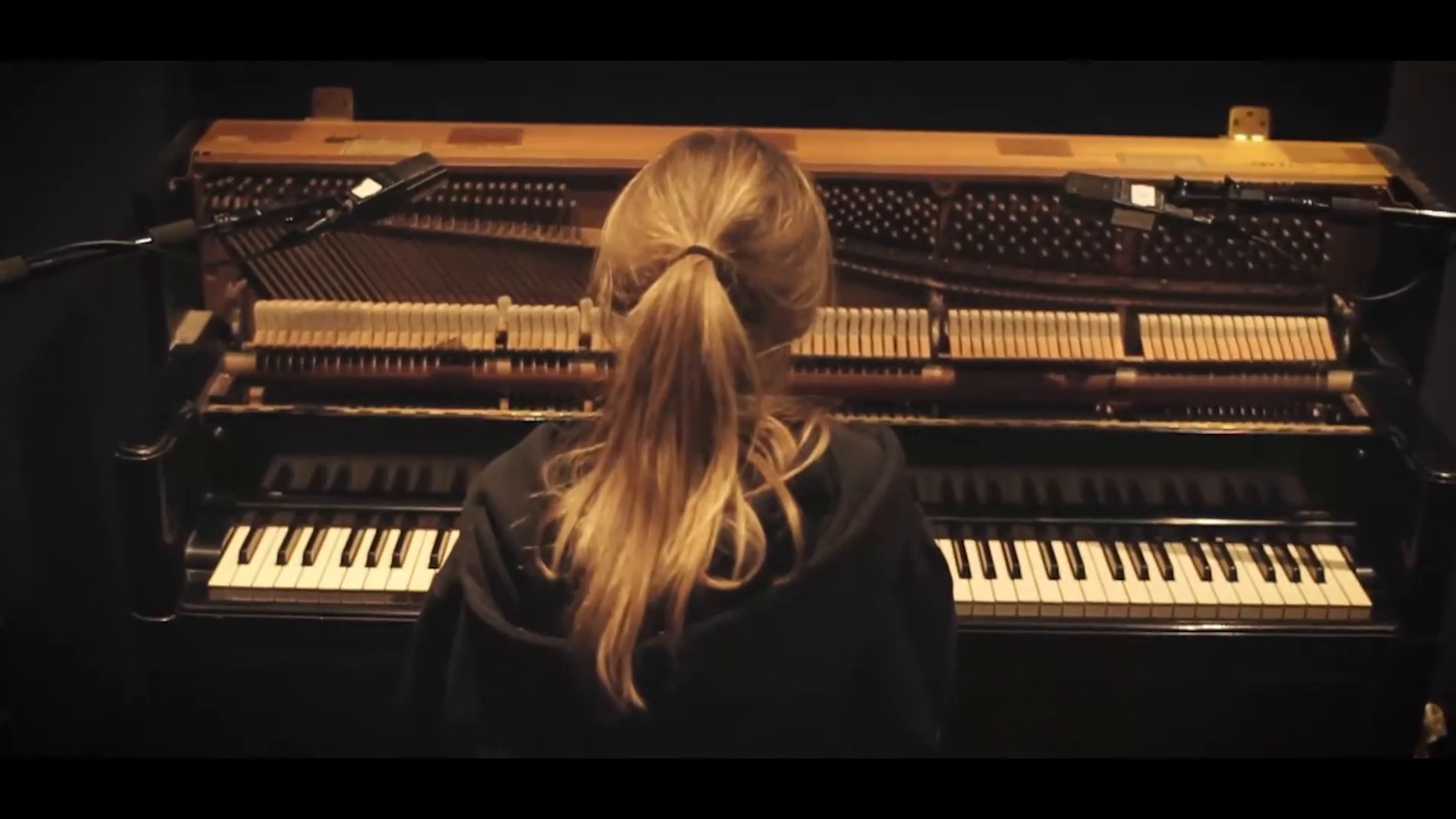 evol-acoustic-comm_001.jpg evol-acoustic-comm_001.jpg