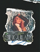 tourpromo-sing-posts_001.jpg